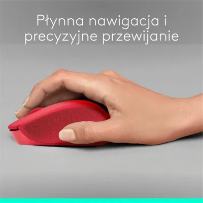 Pamja 4
