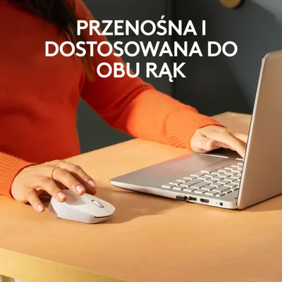 Pamja 4
