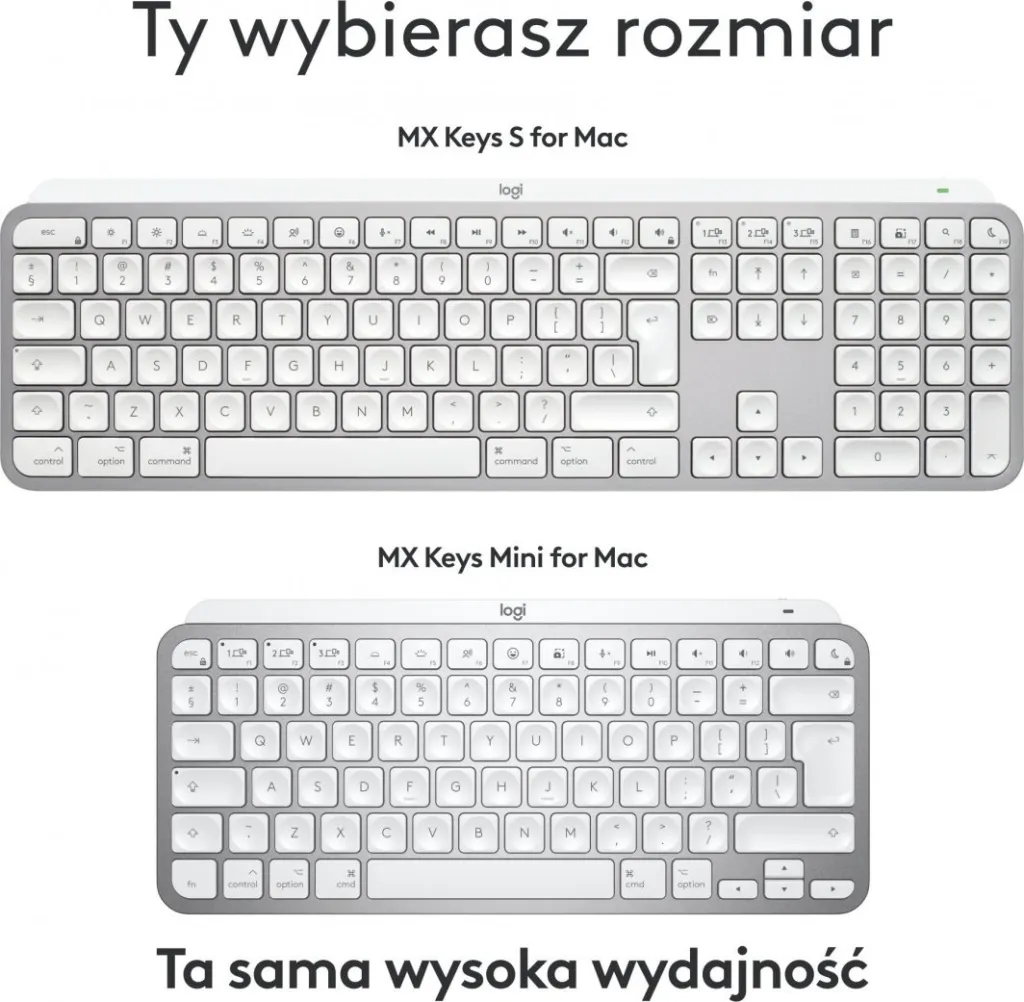 Pamja 11