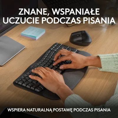 Pamja 2