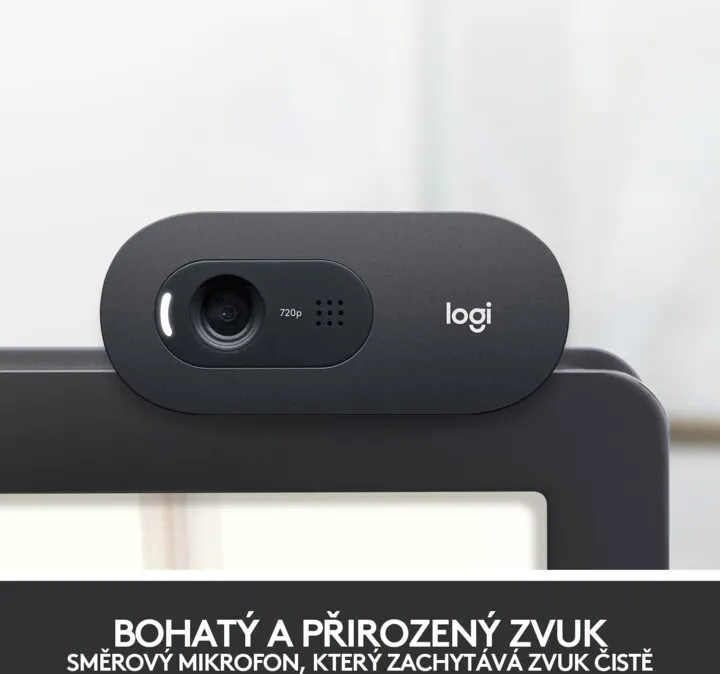 Ueb kamerë Logitech C505, e zezë - 13