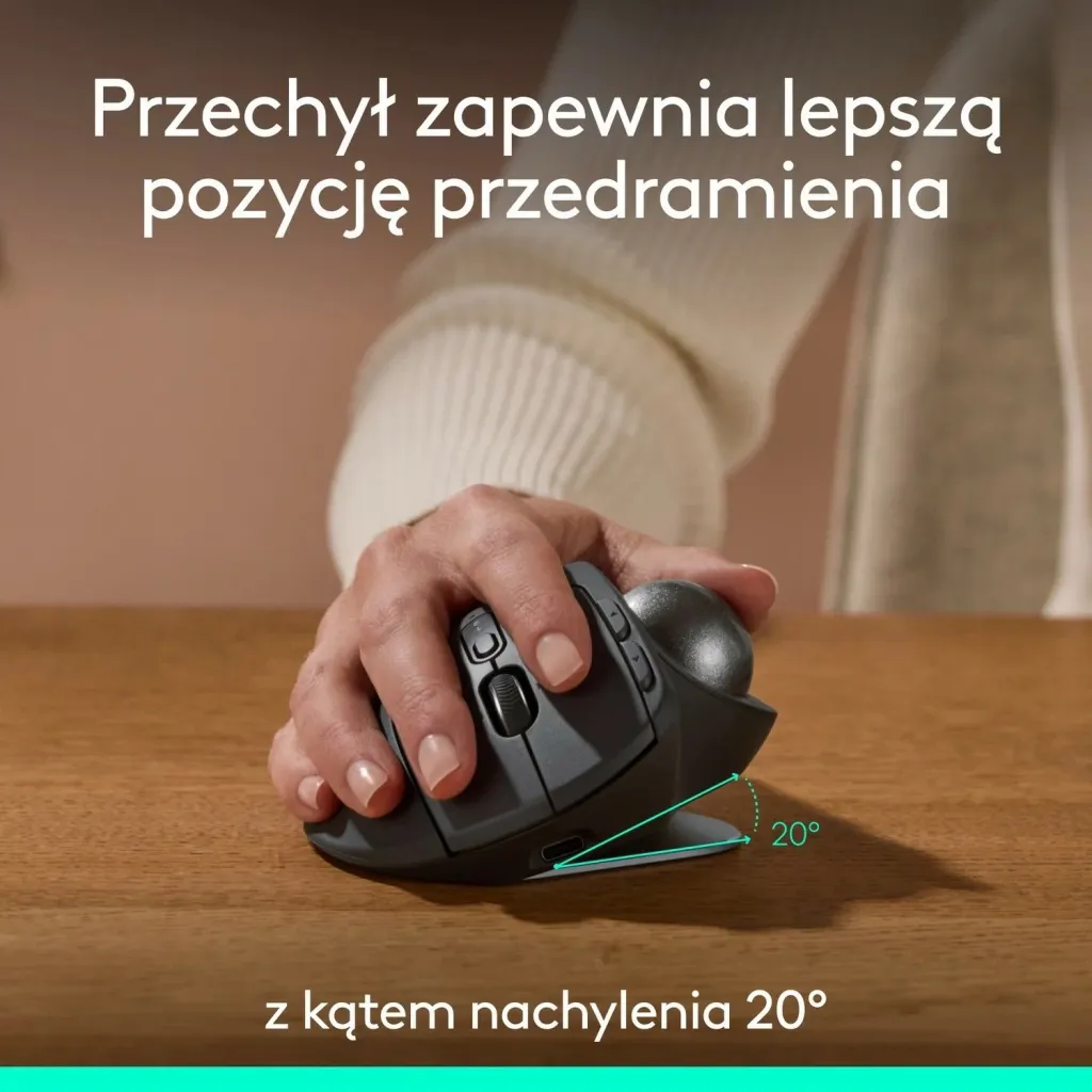 Pamja 3