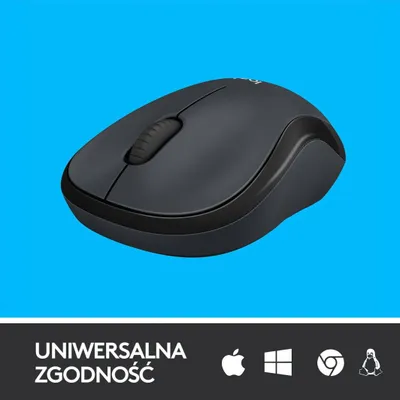 Pamja 4
