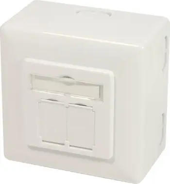 Kuti prize rrjeti LogiLink NP0124 CAT 6A, 2 porta RJ45, STP, e bardhë