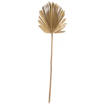 Dekor muri FH7876, gjethe palme e tharë, ngjyrë natyrale, 30x102x3 cm