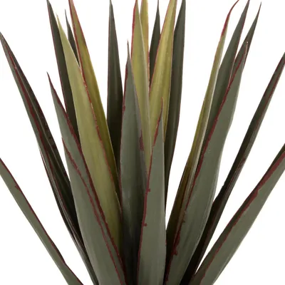 Bimë sintetike dekorative në vazo, FH7985, Sisal Agave, Φ13,5x13-76H cm - 3