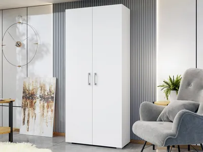 Dollap Toteri 2D (80 x 190 x 55) - 2