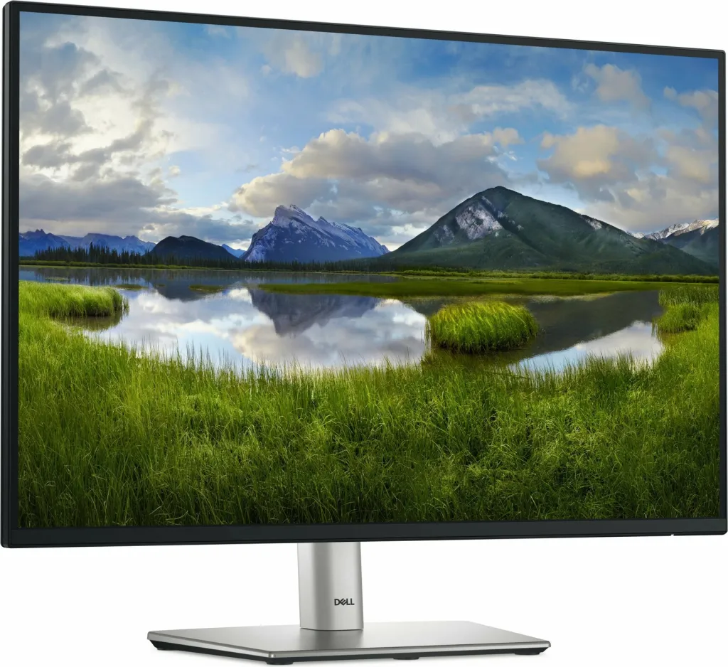 Monitor Dell P2425E, 24", WUXGA, 5ms, i zi - 3