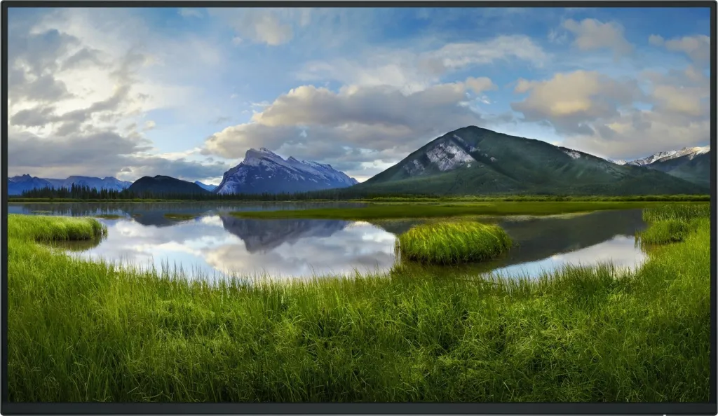 Monitor Dell P2725H, 27", FHD, i zi - 1