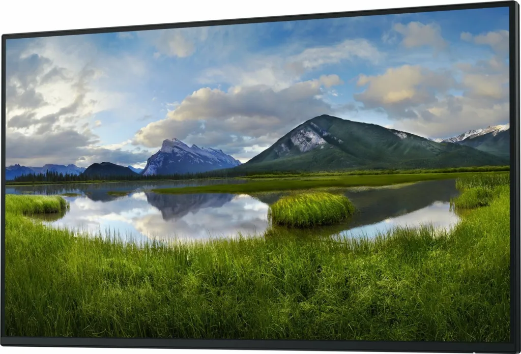 Monitor Dell P2725H, 27", FHD, i zi - 2