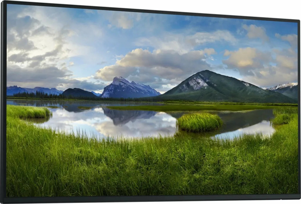 Monitor Dell P2725H, 27", FHD, i zi - 3