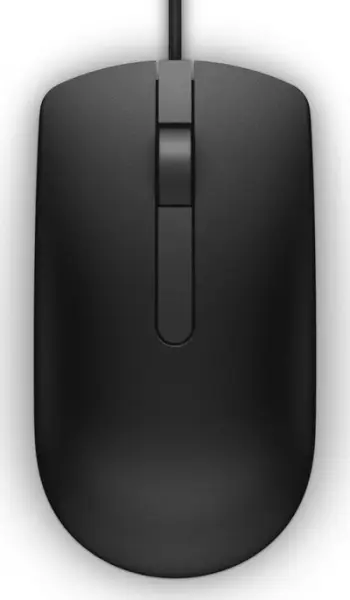 Maus Dell MS166, i zi