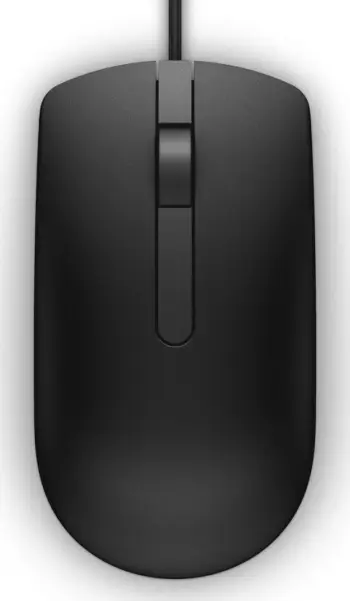 Maus Dell NMJ83, i zi
