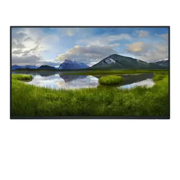Monitor Dell P2425H WOST, 23,8", IPS, FHD, i zi