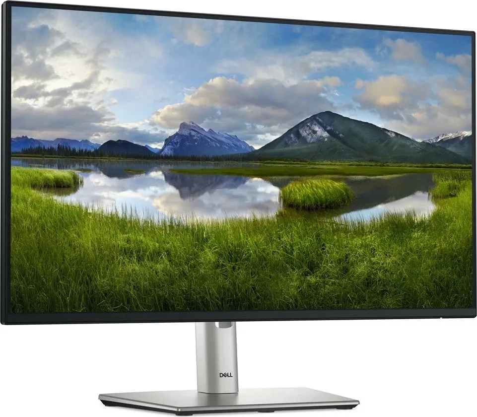 Monitor Dell P2425HE, 24", FHD, i hirtë - 3