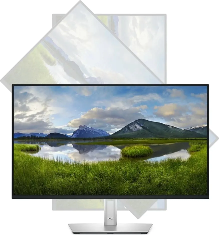Monitor Dell P2425HE, 24", FHD, i hirtë - 8
