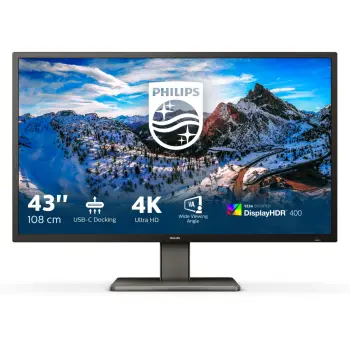Monitor Philips P-line 439P1/00, 42.5", UHD 4K, i zi