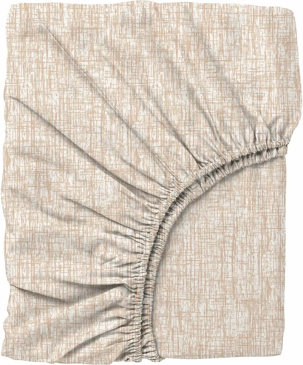 Pamja 5
