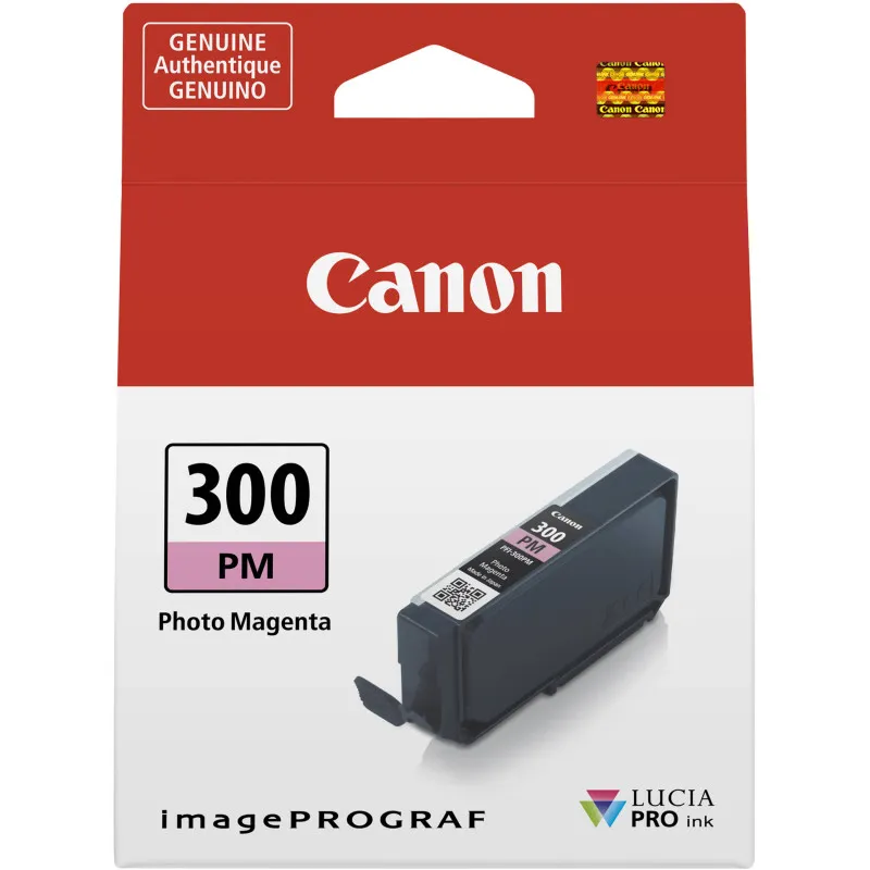 Pamja 10