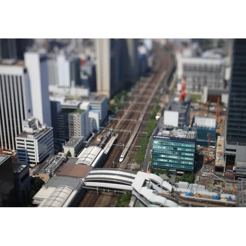 Pamja 8