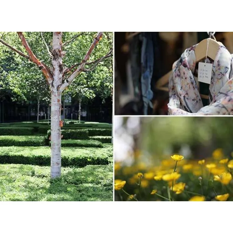 Canon EF 50mm f/1.8 STM - 8