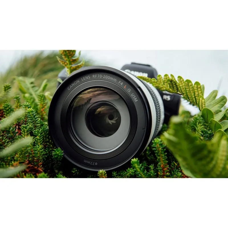 Canon RF 70-200mm f/4L IS USM - 7
