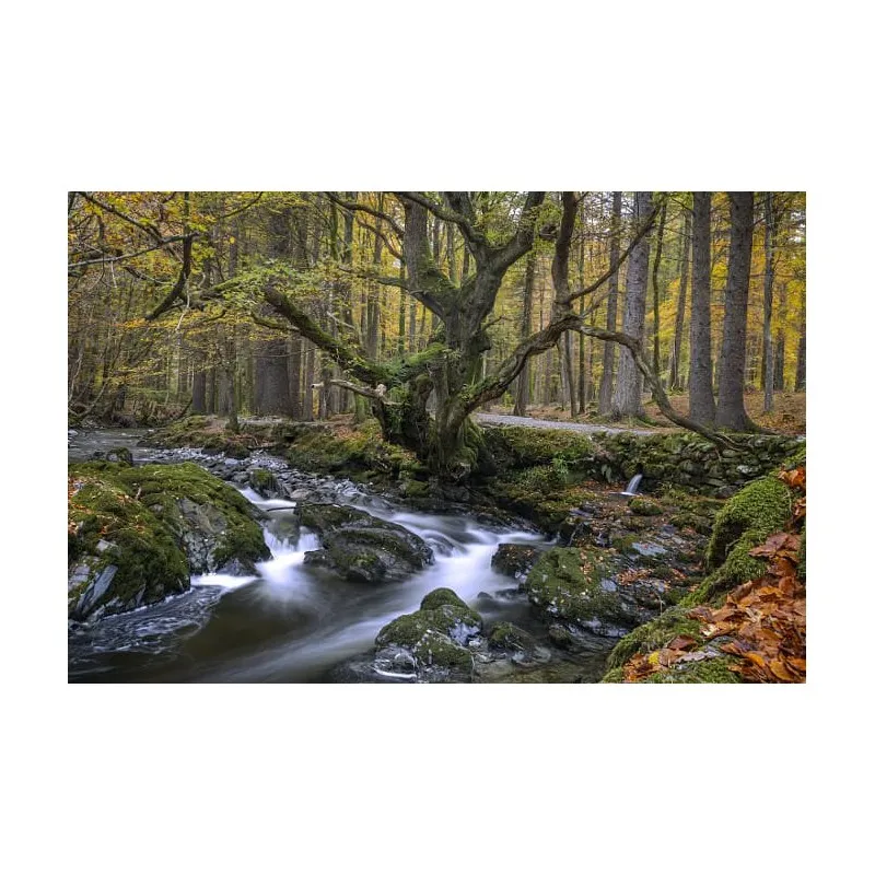 Canon EF-M 15-45mm f/3.5-6.3 IS STM - 6