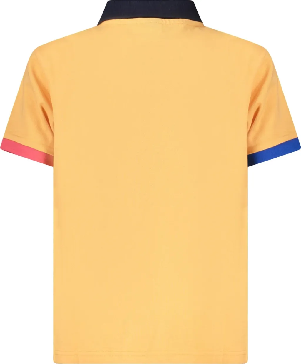 Pamja 2