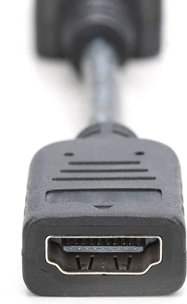 Përshtatës Digitus, DisplayPort - HDMI, M / F, 0.15m, i zi - 3