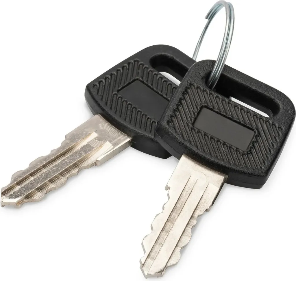 Çelësa Digitus DN-KEY-WM për kasë rrjeti, 2 copë, zi/argjendtë - 1