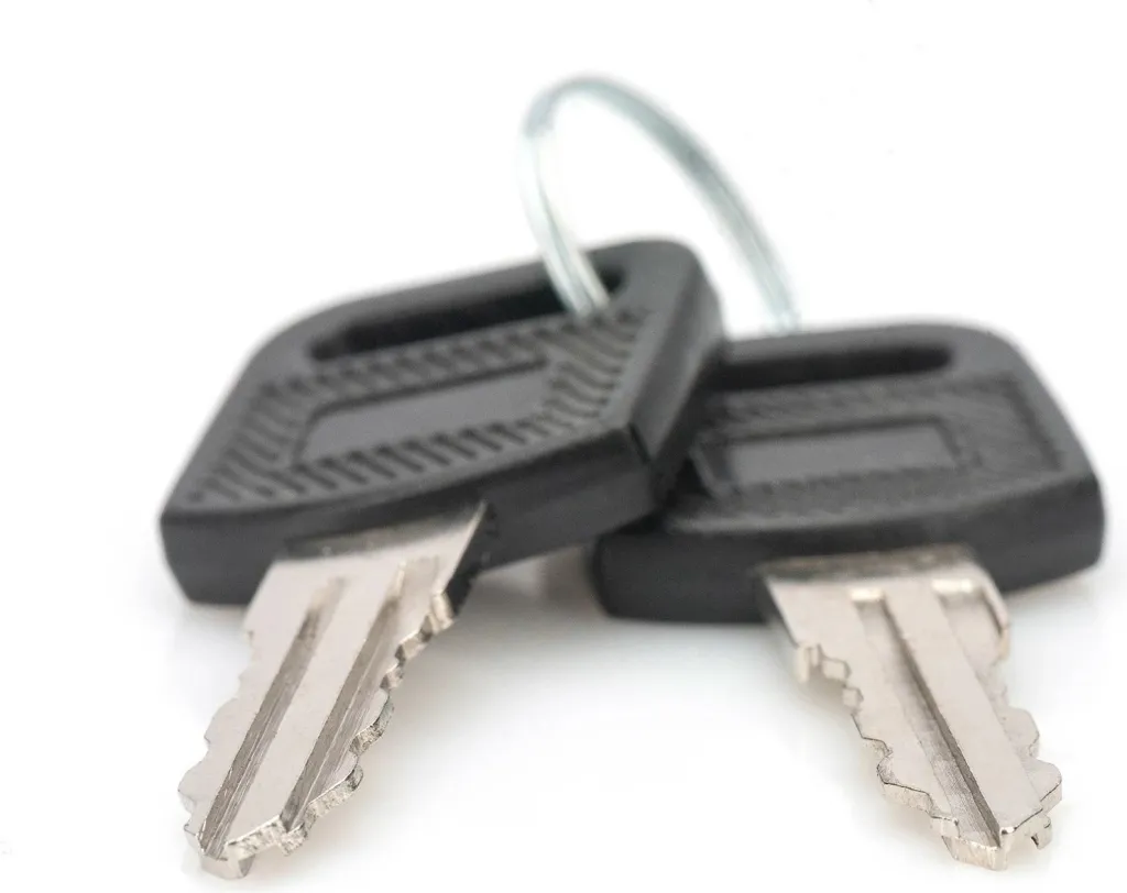 Çelësa Digitus DN-KEY-WM për kasë rrjeti, 2 copë, zi/argjendtë - 2
