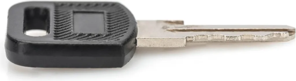 Çelësa Digitus DN-KEY-WM për kasë rrjeti, 2 copë, zi/argjendtë - 3