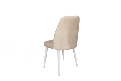Pamja 4