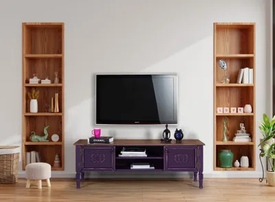Njësi TV Ada TV, vjollcë - 2