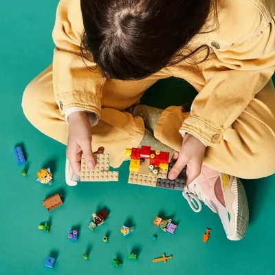 LEGO Minecraft 21164 - 10