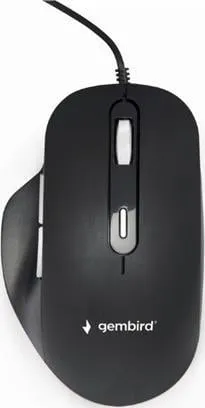 Pamja 1