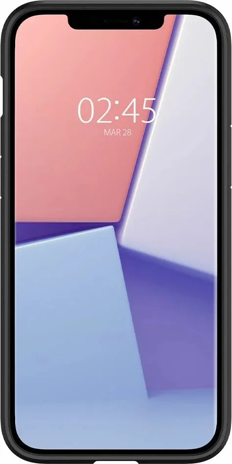 Pamja 10
