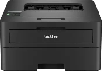 Printer Brother HL-L2460DNYJ1, gri