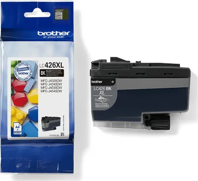 Pamja 8