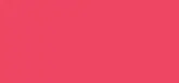 Revolution Fast Base Blush - Bloom