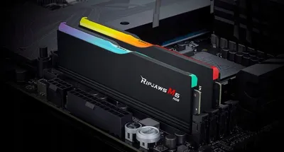 Pamja 2