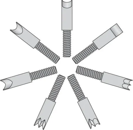 Pamja 4