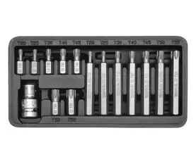 Set majash për kaçavidë Yato Torx T20-T55 YT-0411, 15 copë