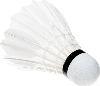 Fletëza badminton Hi-Tec FLAYA, puplash, bazë tapë - 4