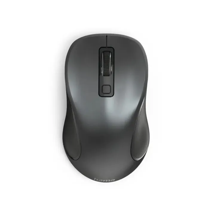 Maus Hama Canosa V2, i zi - 1
