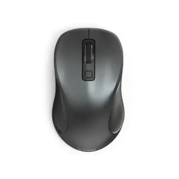 Maus Hama Canosa V2, i zi