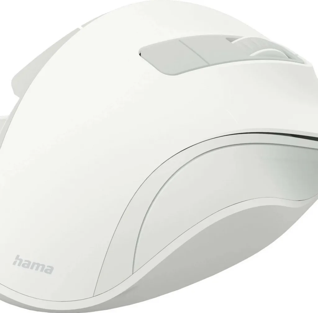 Pamja 4