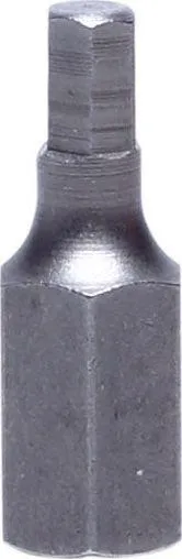 Pamja 1