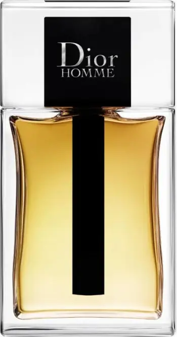 Eau De Toilette Dior Homme, 100 ml