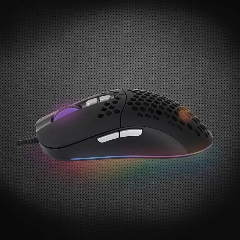 Pamja 14